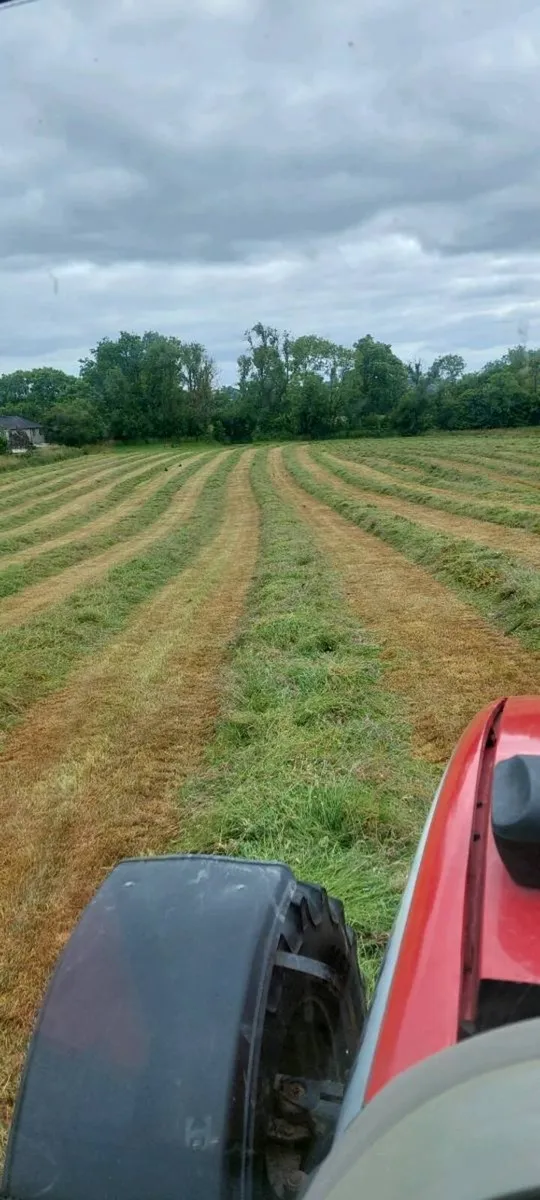 Silage --  located just off n4 longford - Image 1