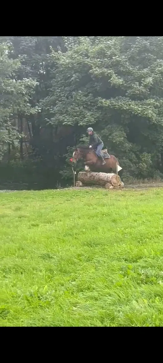 15hh - Image 4