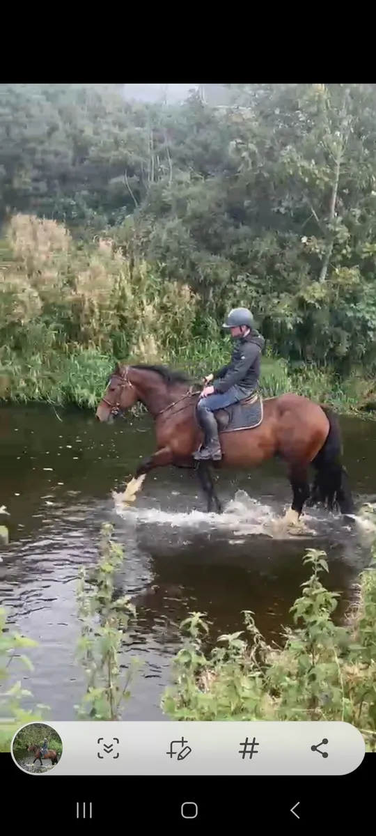 15hh - Image 2