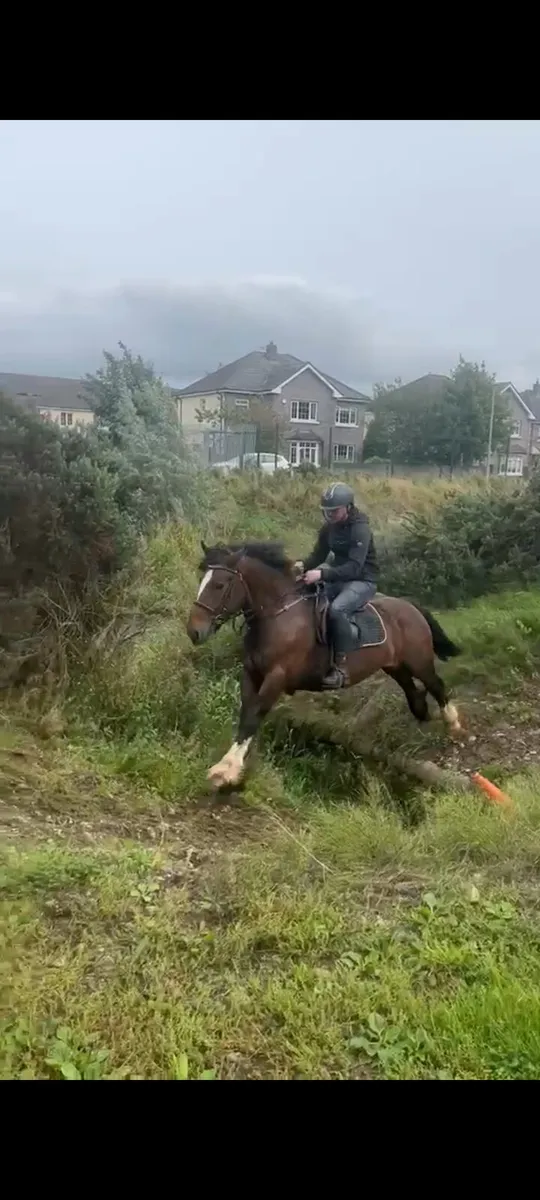15hh - Image 3