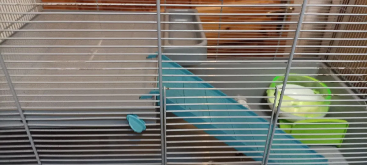 Hamster  Cage - Image 2