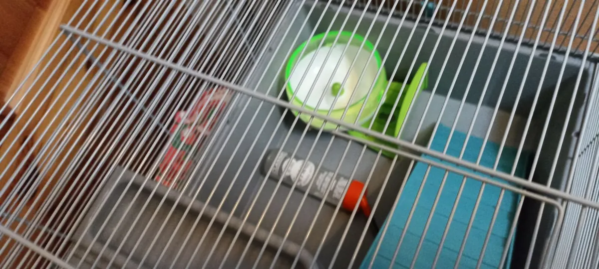 Hamster  Cage - Image 3