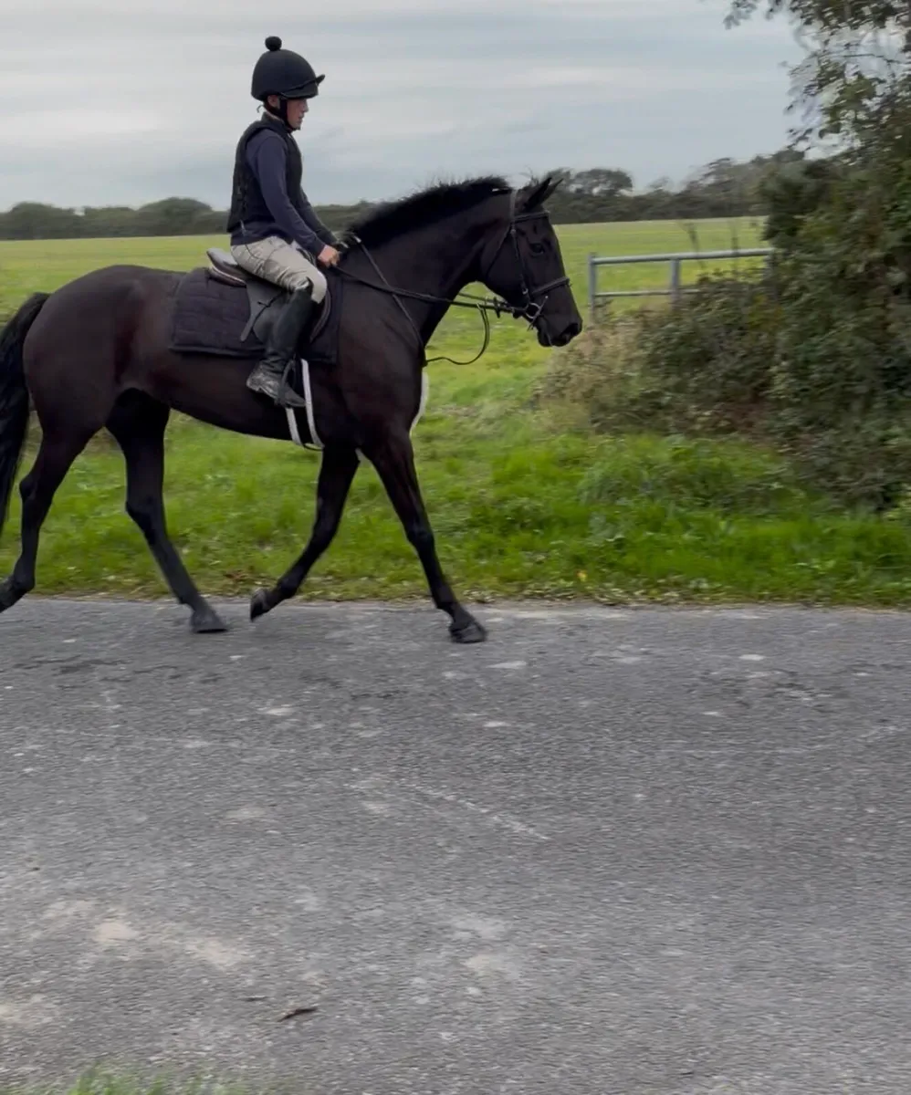 148 sligo candy boy - Image 2
