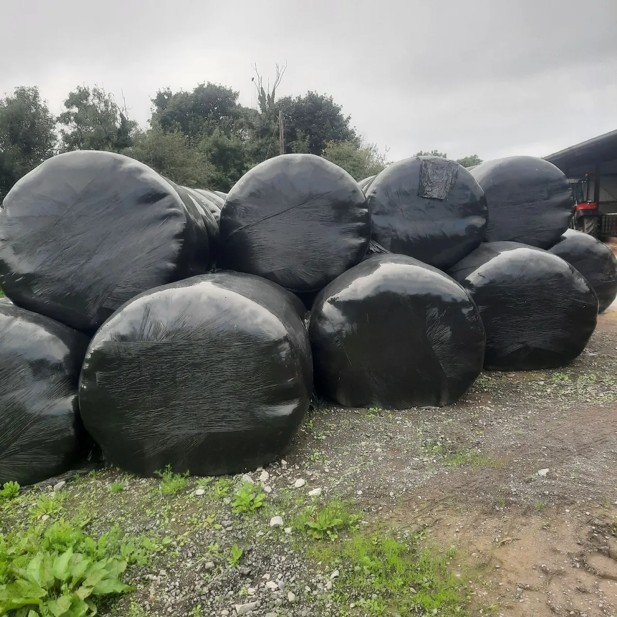 Silage - Image 4