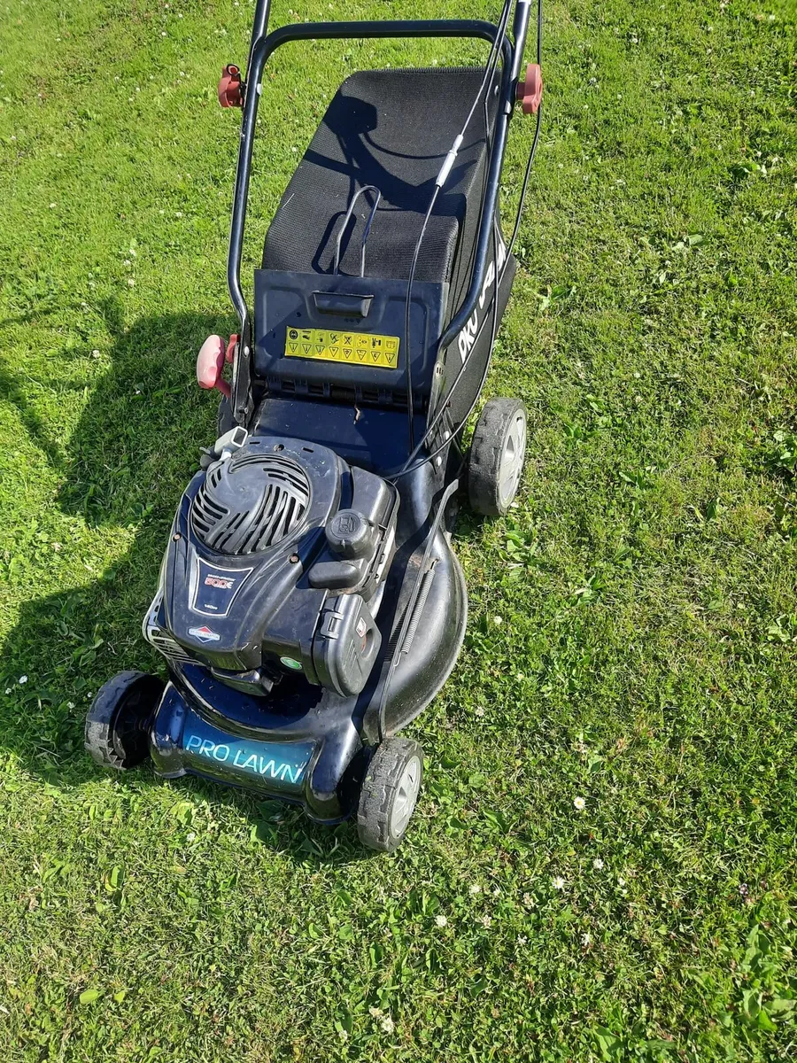 Lawnmower working perfect self driving - Image 3