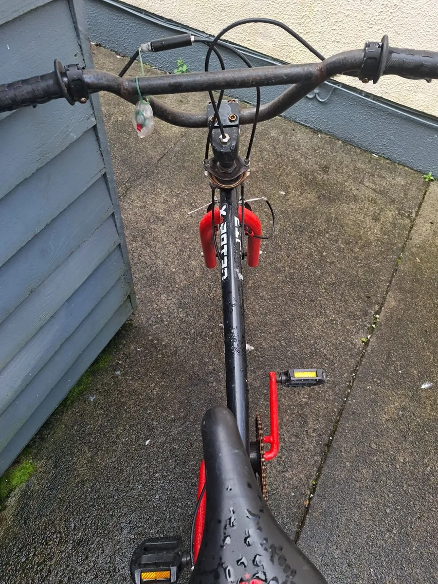 Bmx type - Image 4