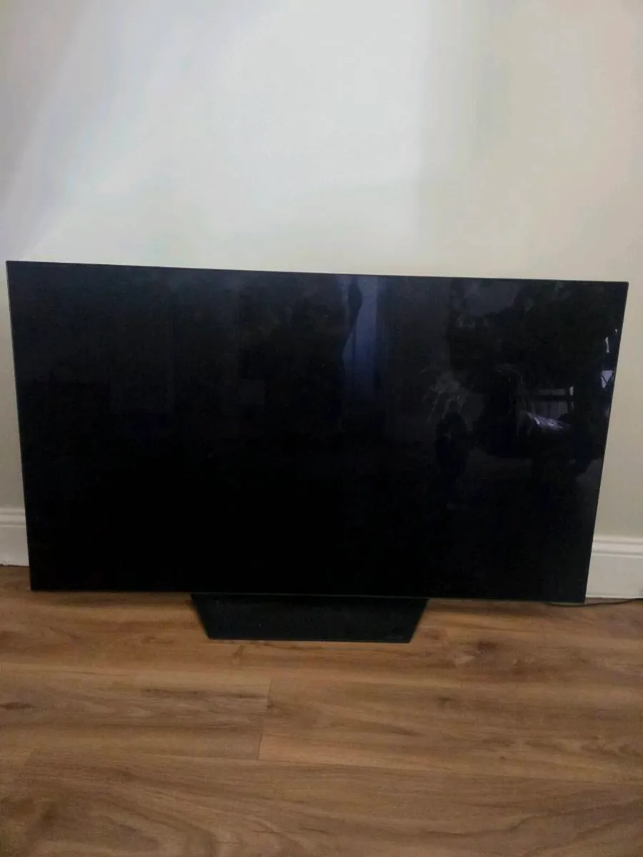 55 Inch Oled TV needs repaired