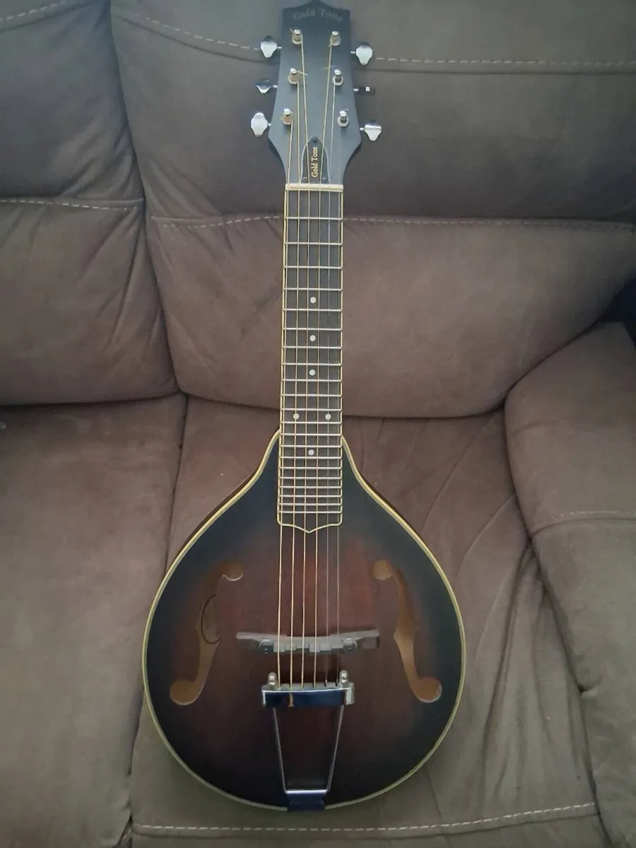 Gold Tone Mando Guitar - Image 4