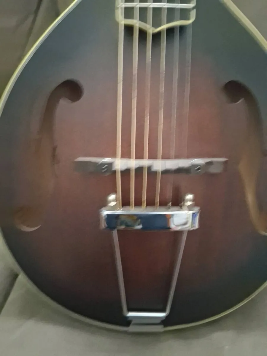 Gold Tone Mando Guitar - Image 3