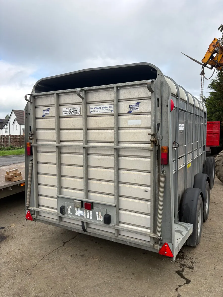 2020 ifor Williams 12ft cattle trailer - Image 2