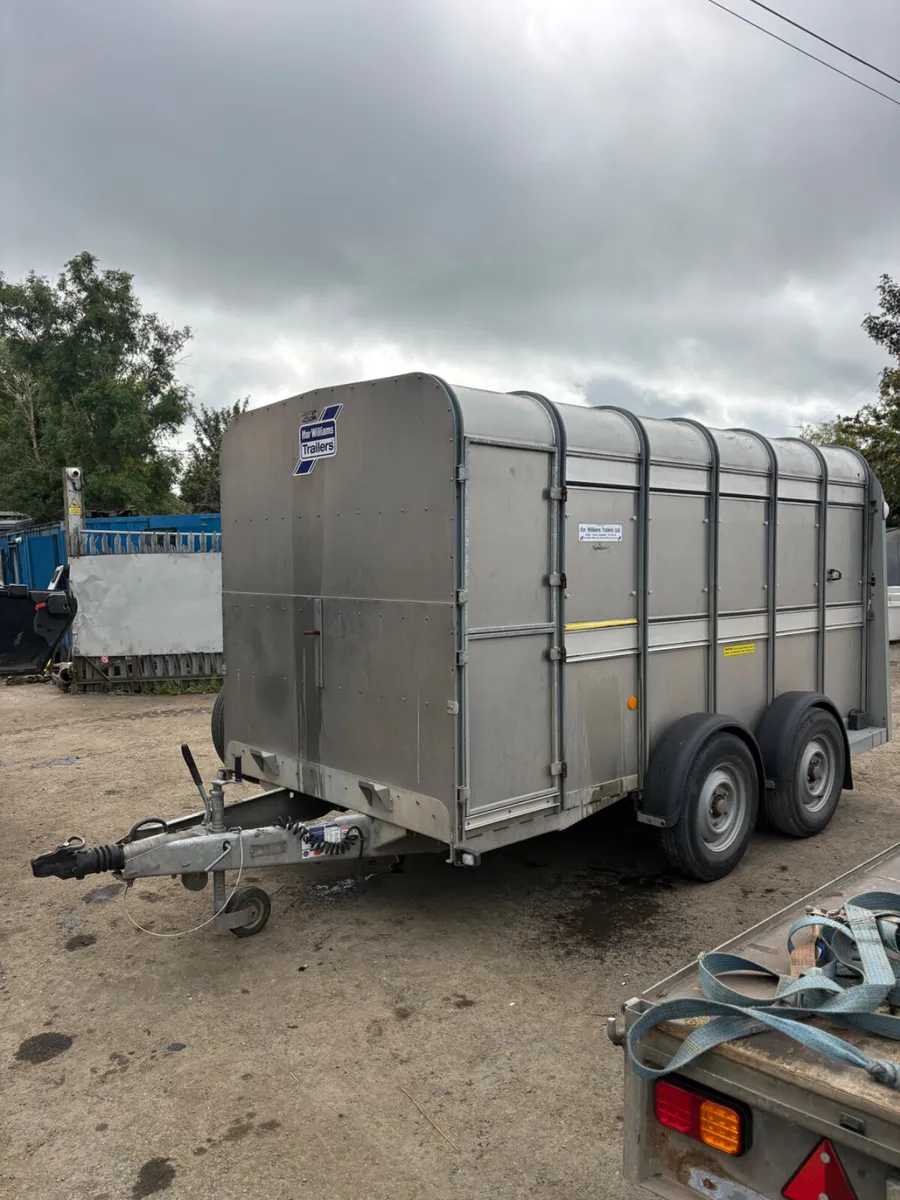2020 ifor Williams 12ft cattle trailer - Image 1