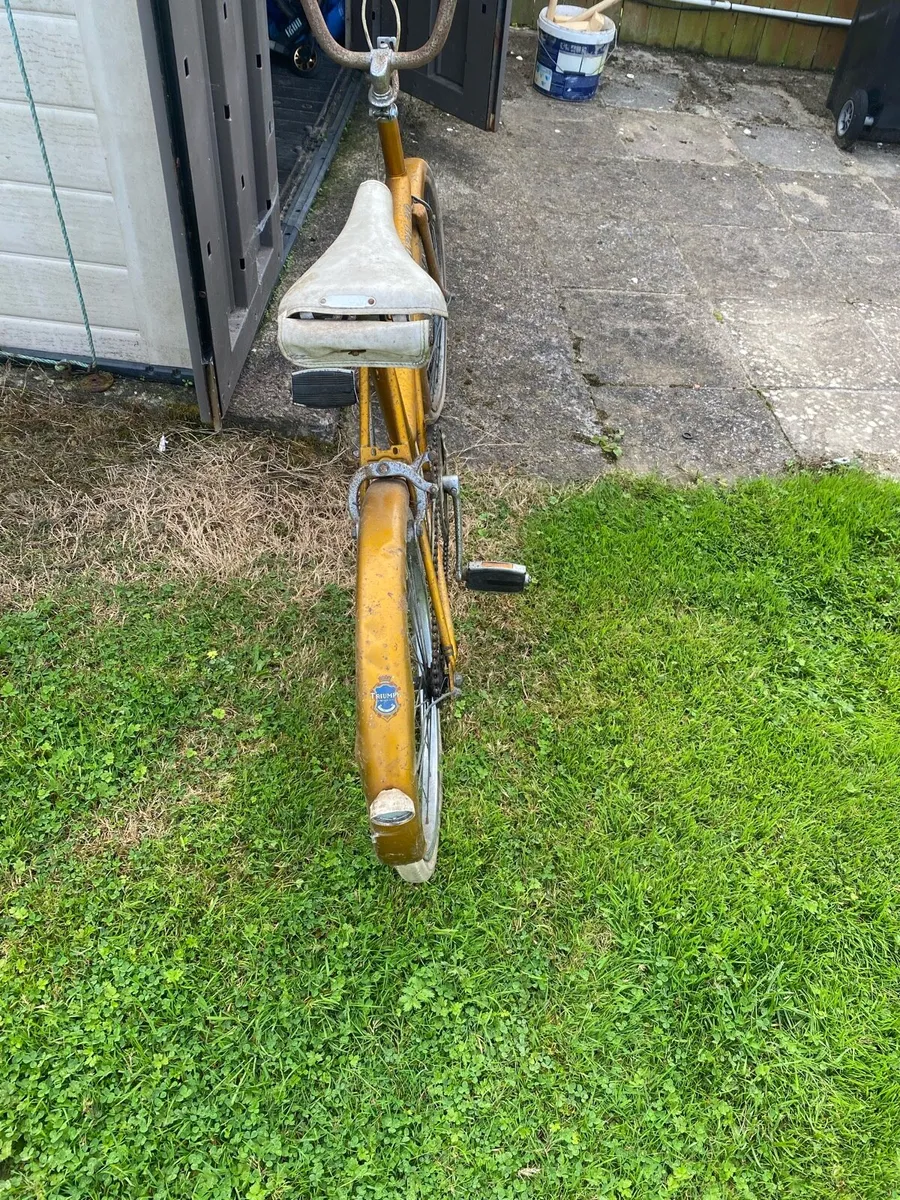 Raleigh triumph 20 (1968-1980s) - Image 1