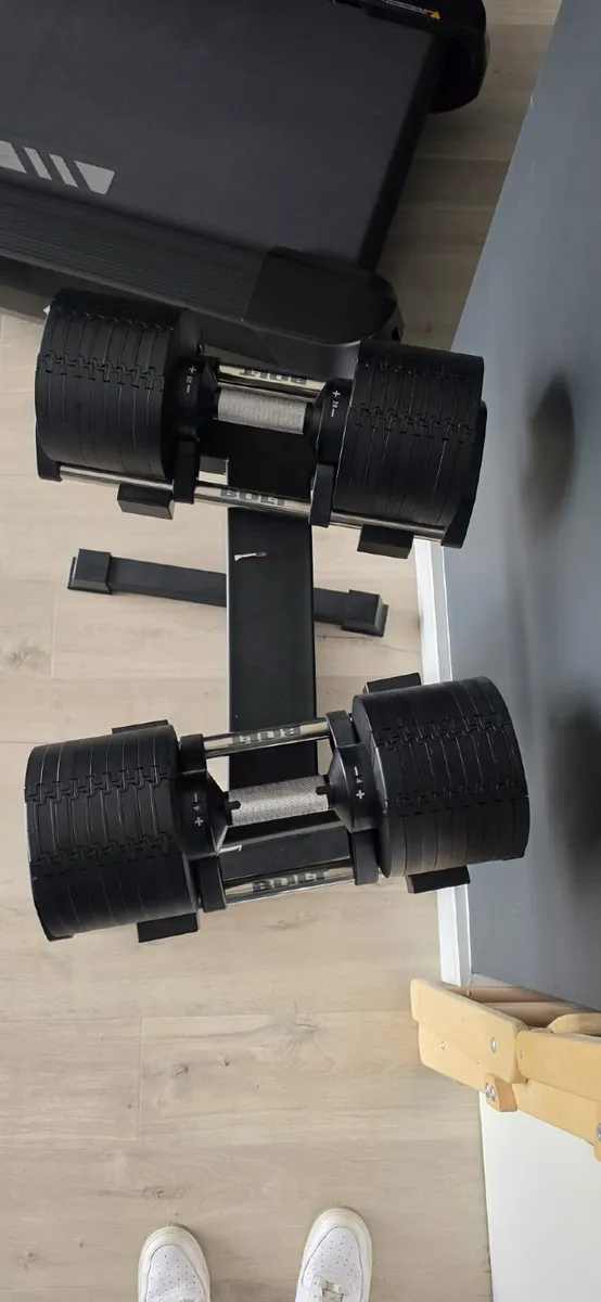 ADJUSTABLE WEIGHTS AND RACKS - Image 1