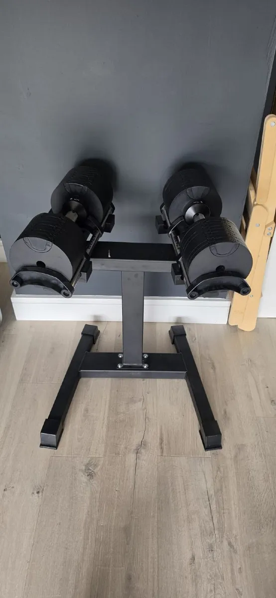 ADJUSTABLE WEIGHTS AND RACKS - Image 2