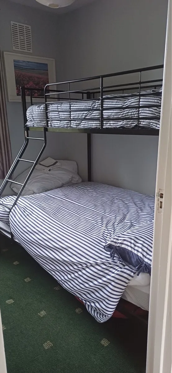 Single/Double Bunk Bed - Image 1
