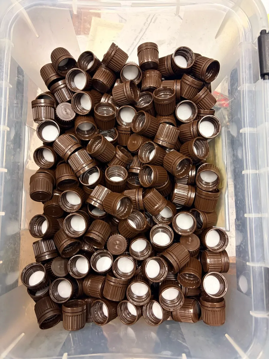 630 New 50 ml Glass Bottles with Screw Caps - Image 4