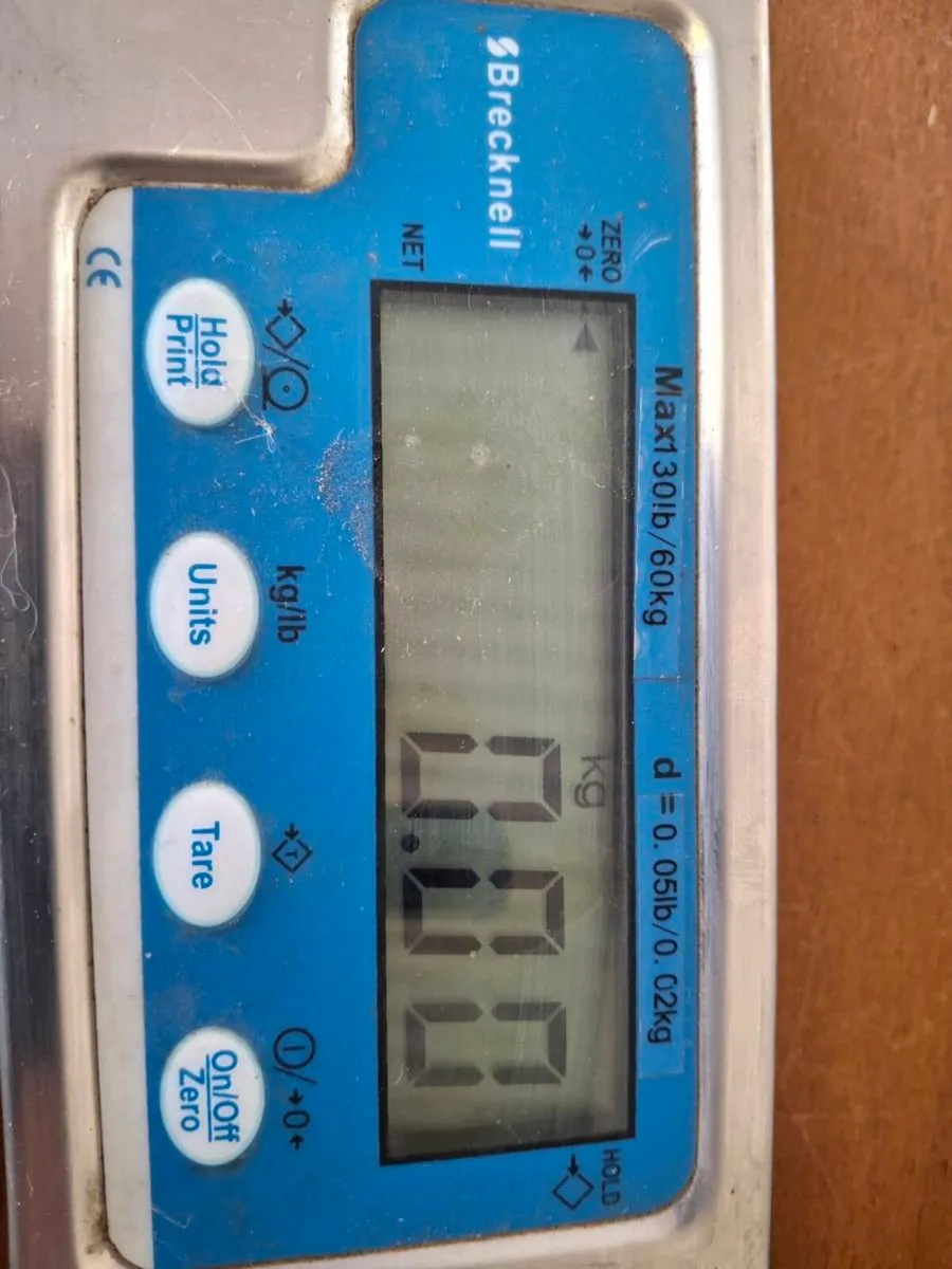 Weighing Scales - Image 2