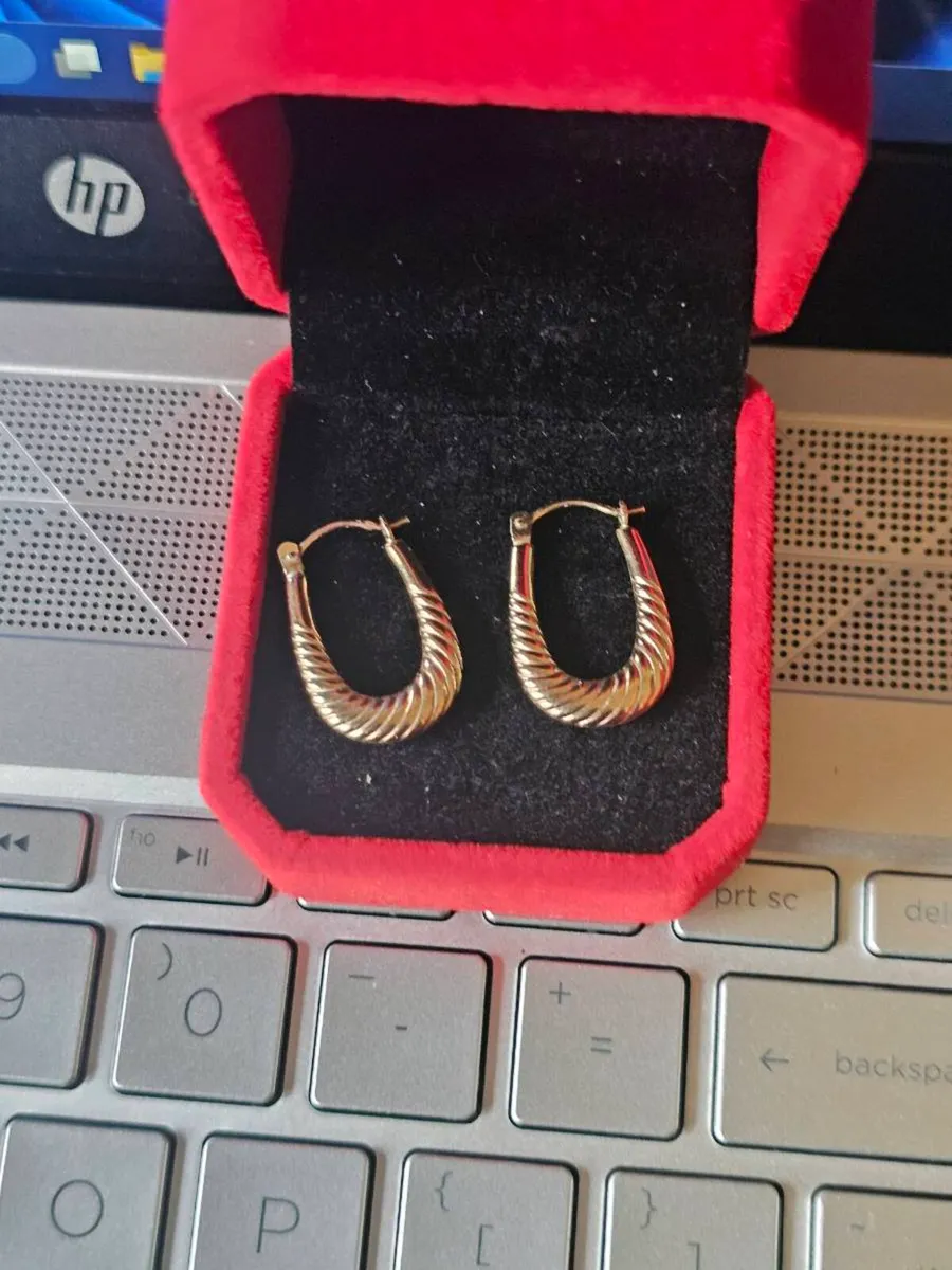 9ct Gold Yellow Gold Hoop Earrings/Elegant - Image 2