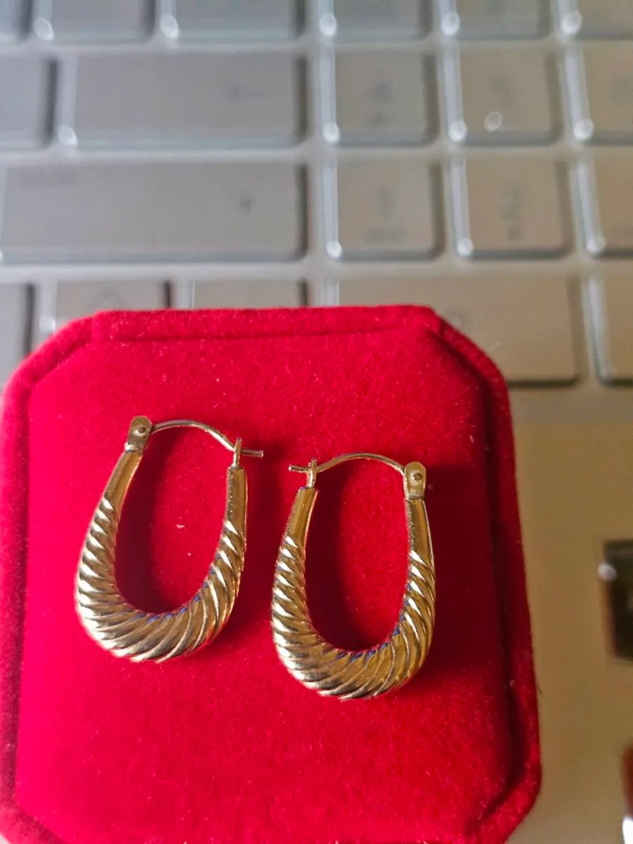 9ct Gold Yellow Gold Hoop Earrings/Elegant - Image 1