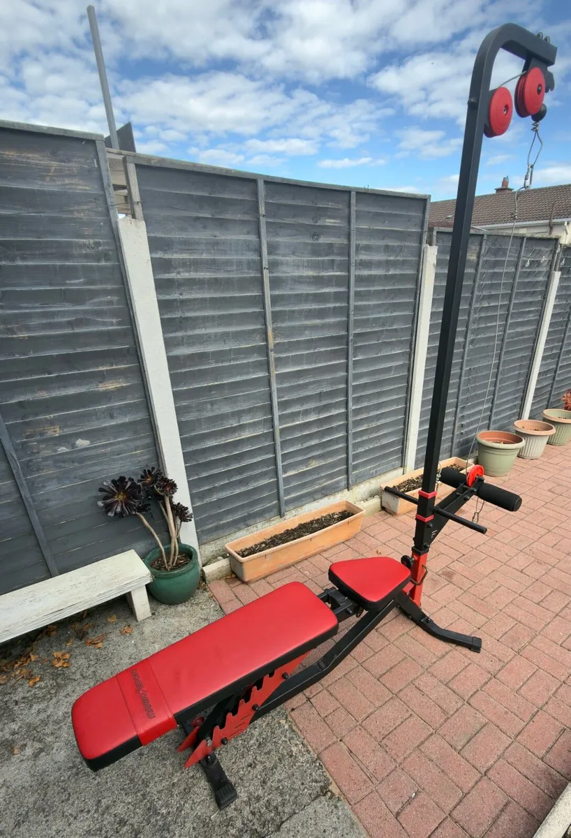 Complete Home Gym Setup - Image 2