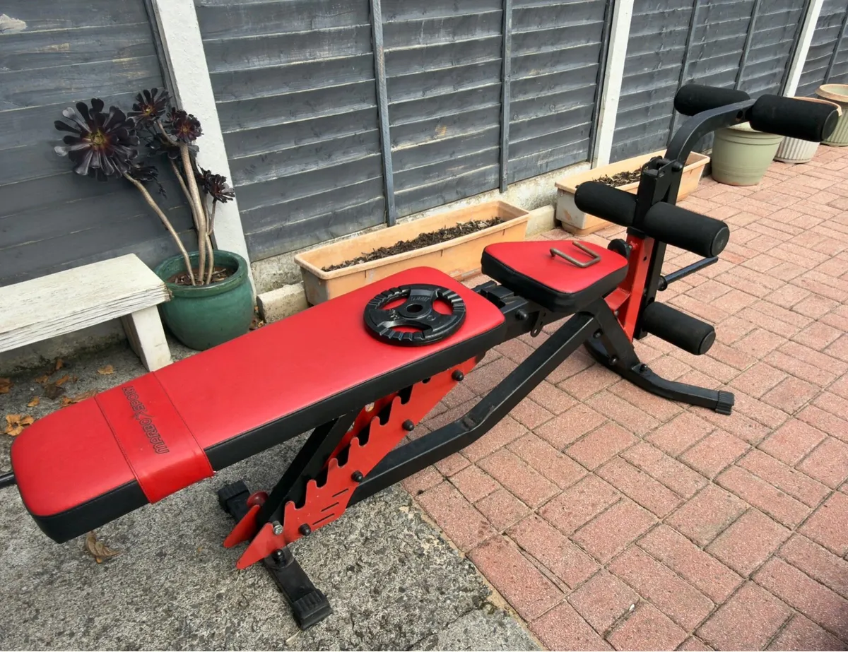 Complete Home Gym Setup - Image 4