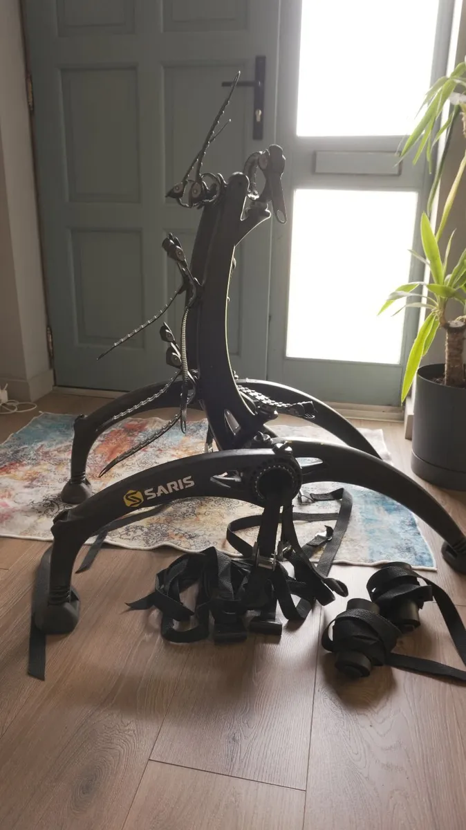 Bones EX 3-Bike Trunk Rack - Image 1