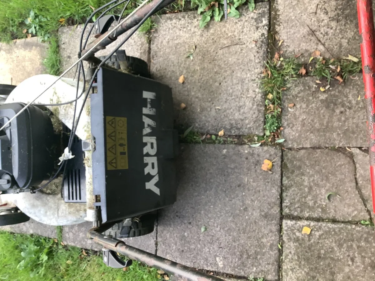 Lawnmower - Image 1