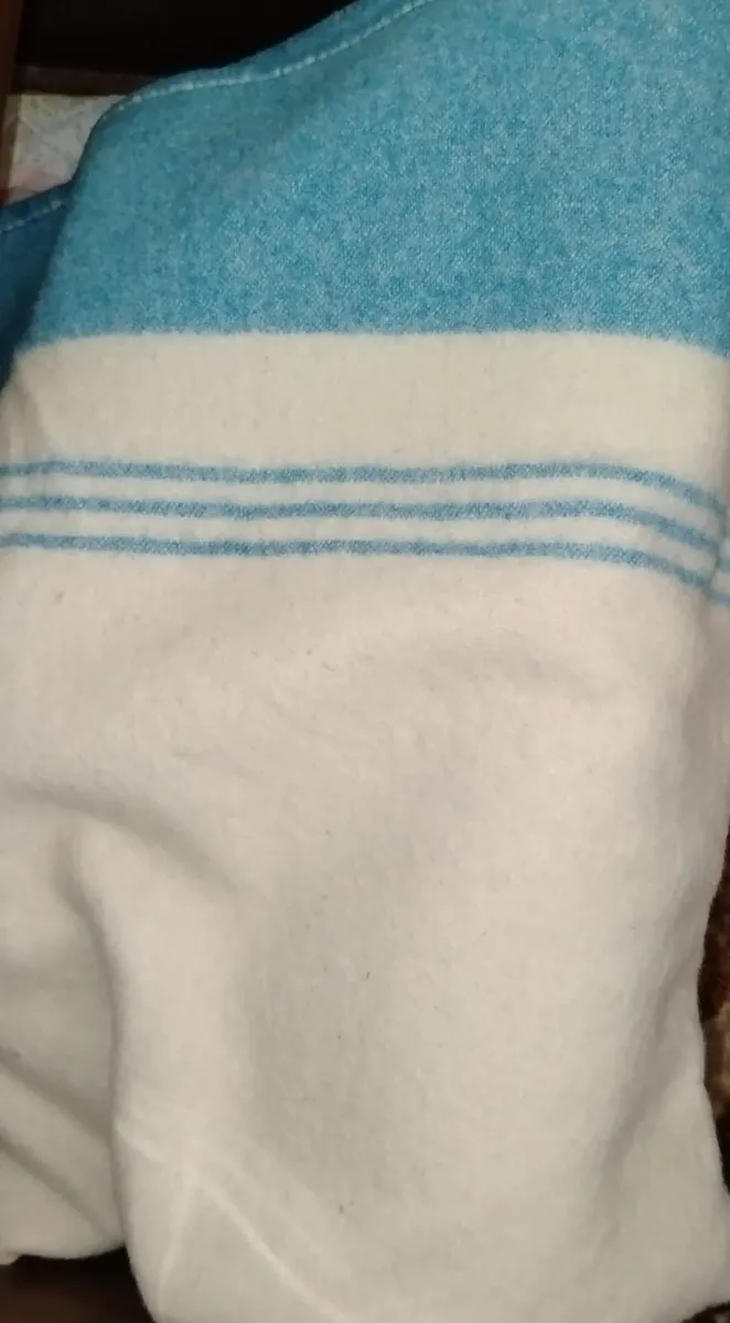 4 Pure Wool Blankets - Image 1