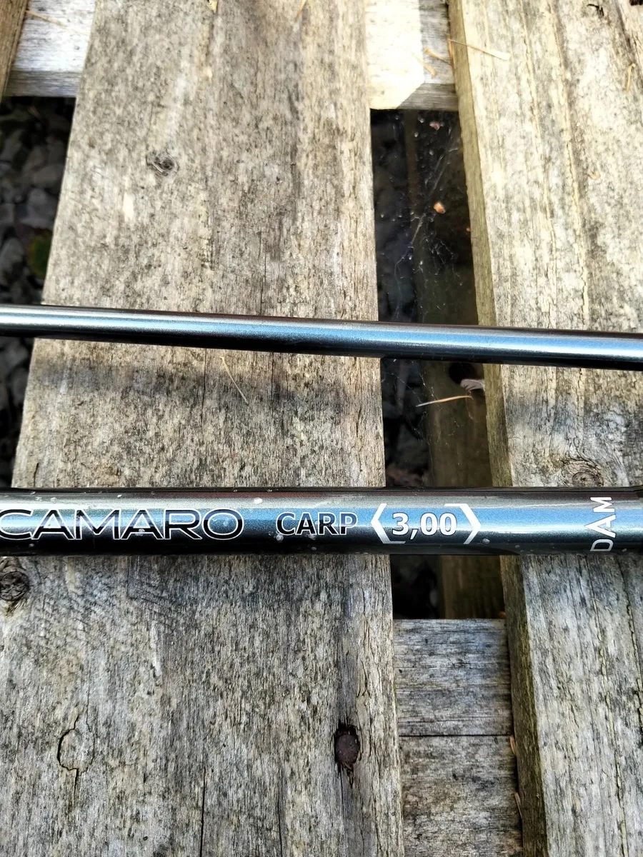 Fishing rod - Image 1