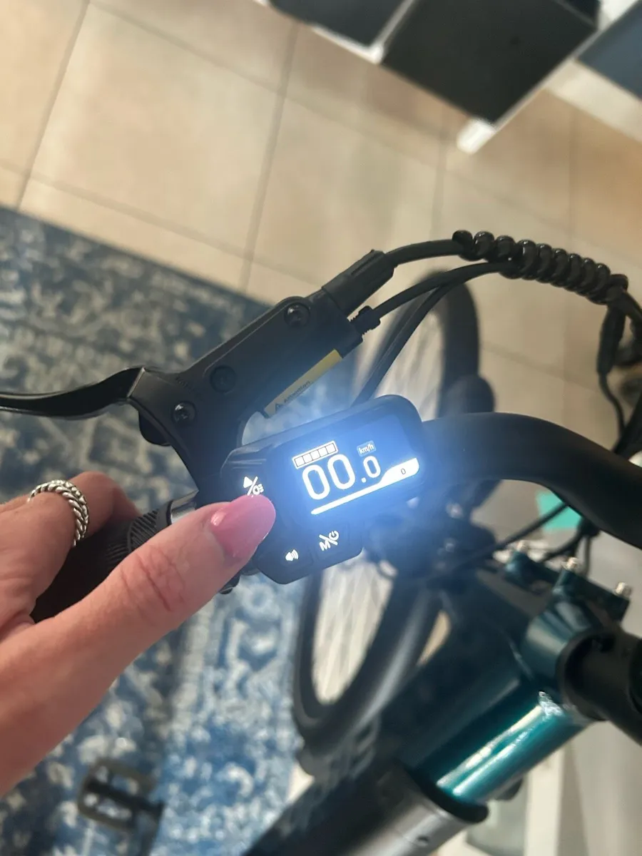 Fiido C11 Electric Bike - Image 2