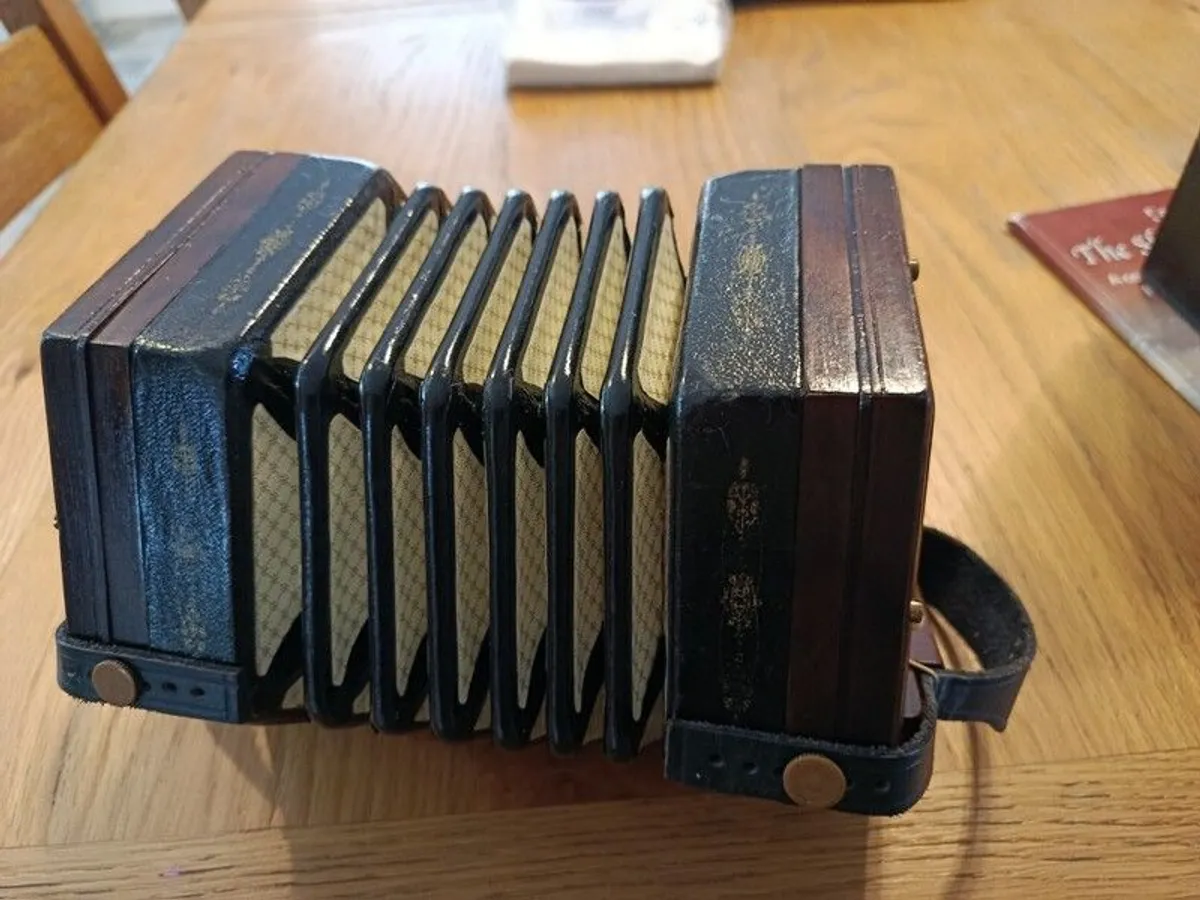 Concertina - Image 3