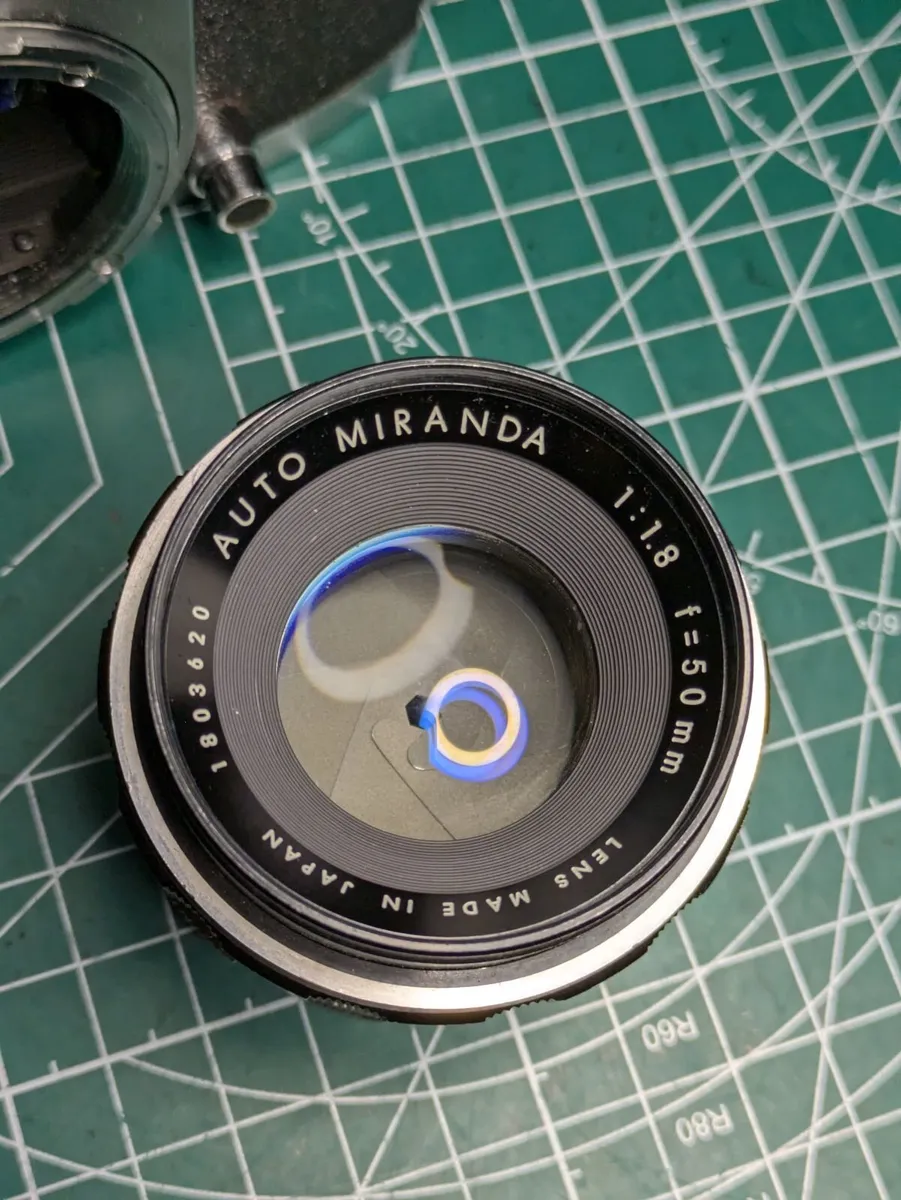 🎞️ Miranda - Image 4