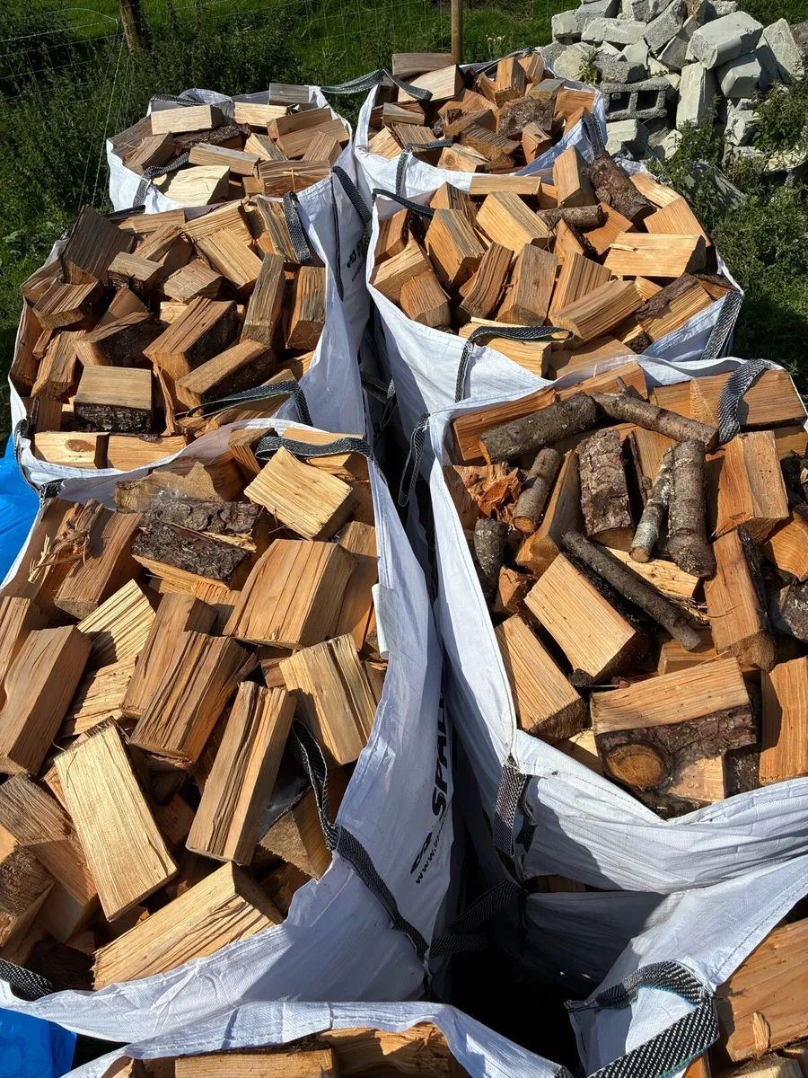 Seasoned firewood - Image 1