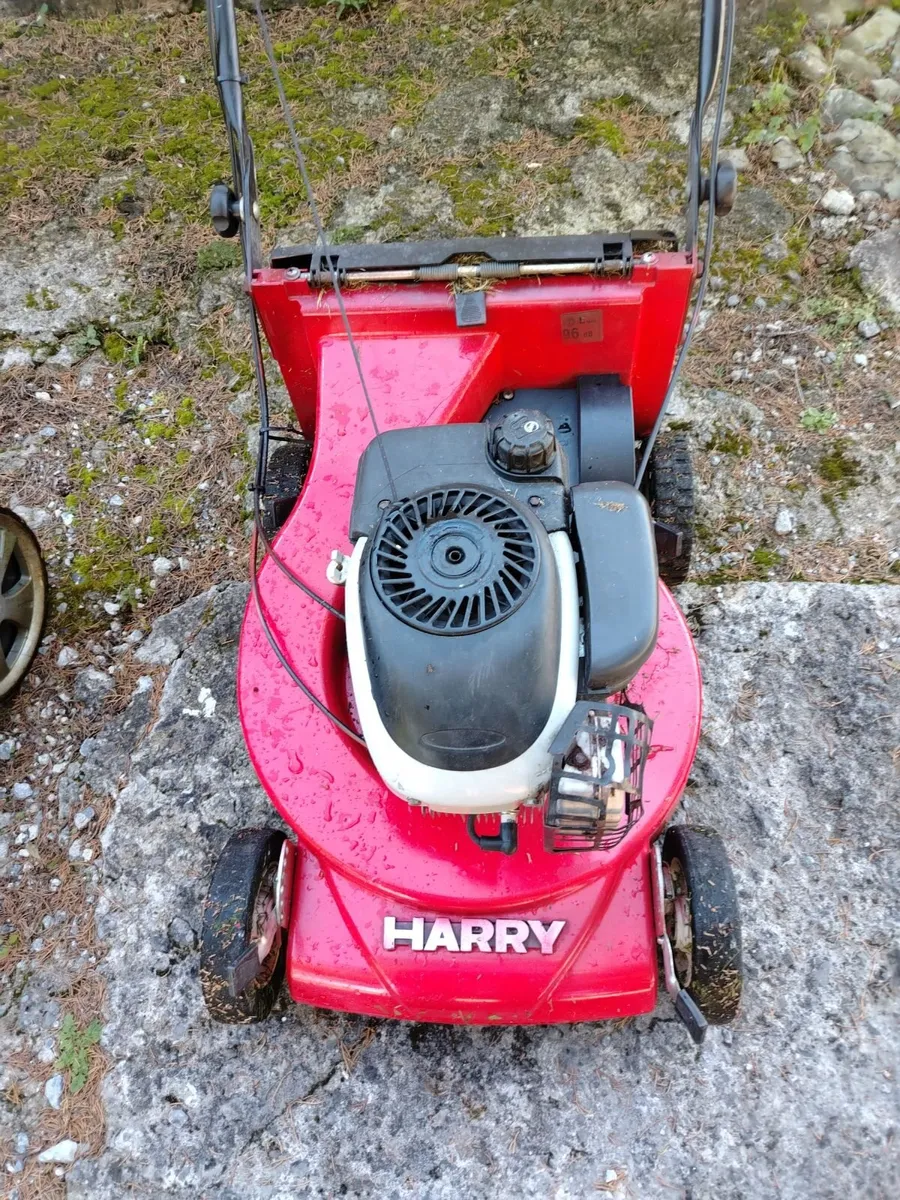 Lawnmowers - Image 3