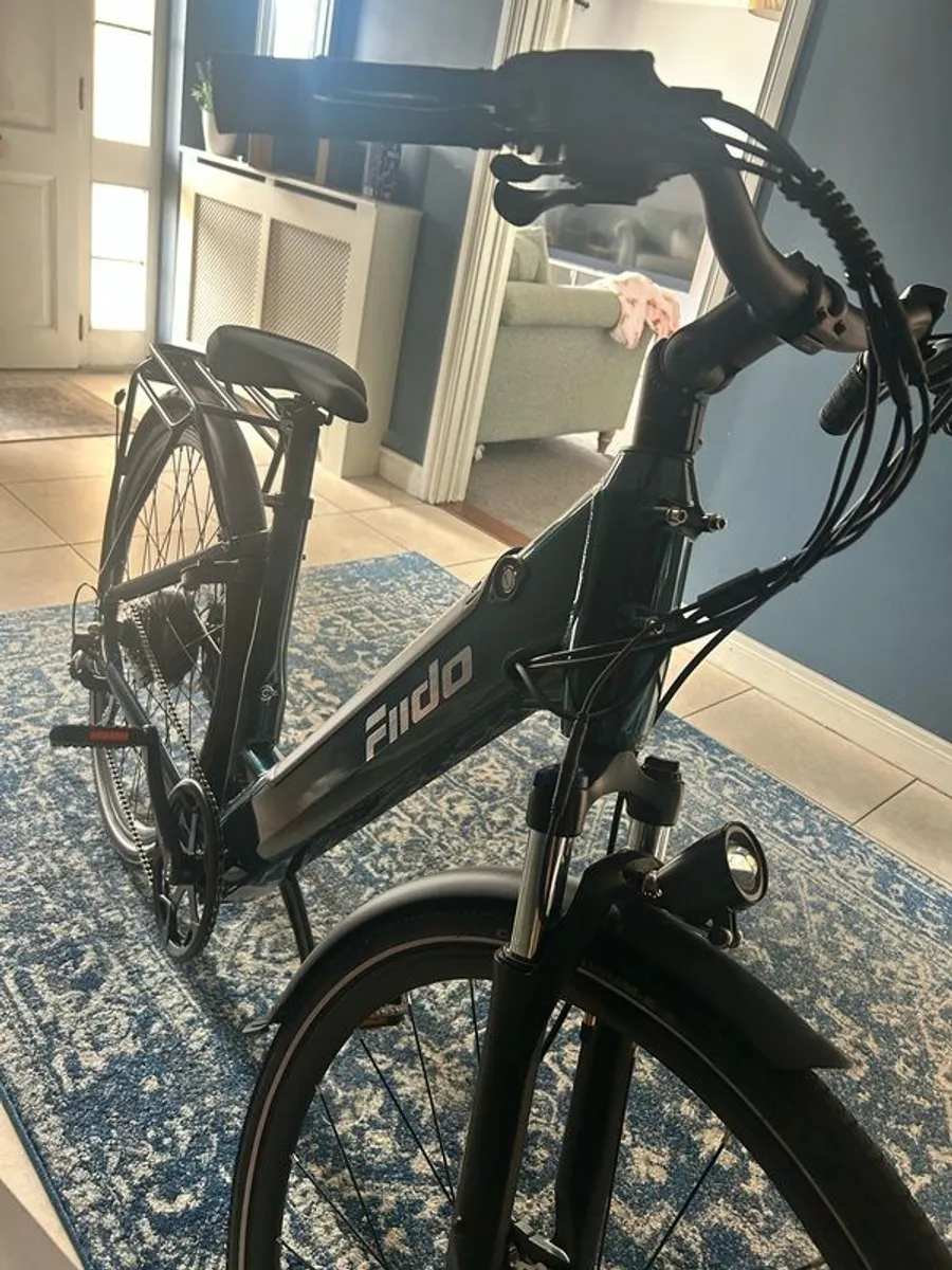 Fiido C11 Electric Bike - Image 1