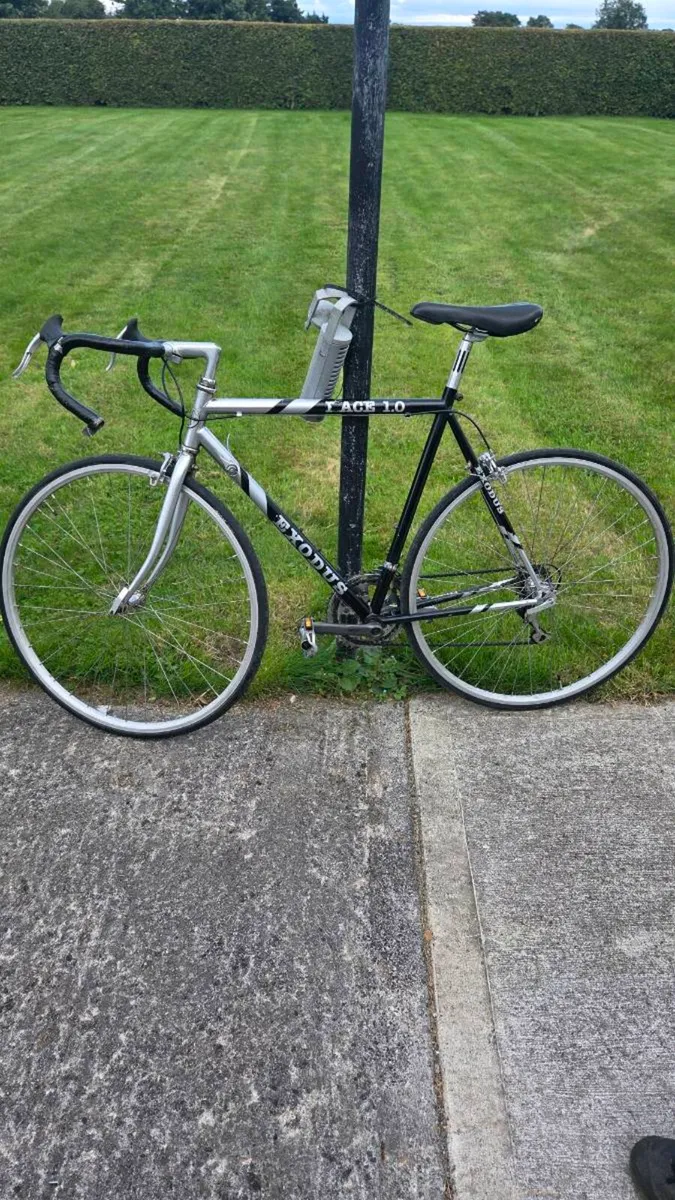 Bike - Image 2