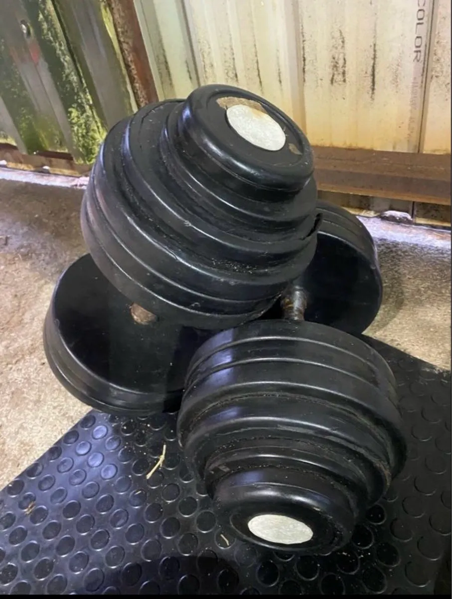 Dumbbells - Image 1