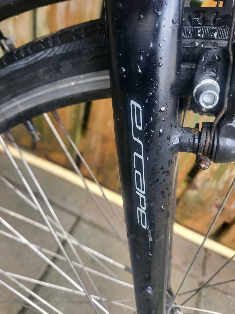 hybridbike - Image 4