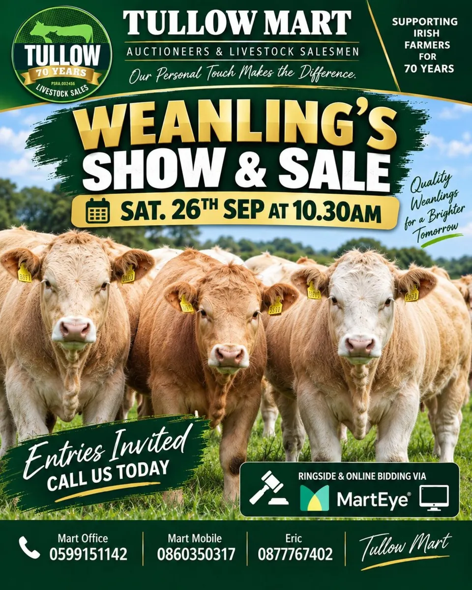 Weanling's Show & Sale  - Tullow Mart