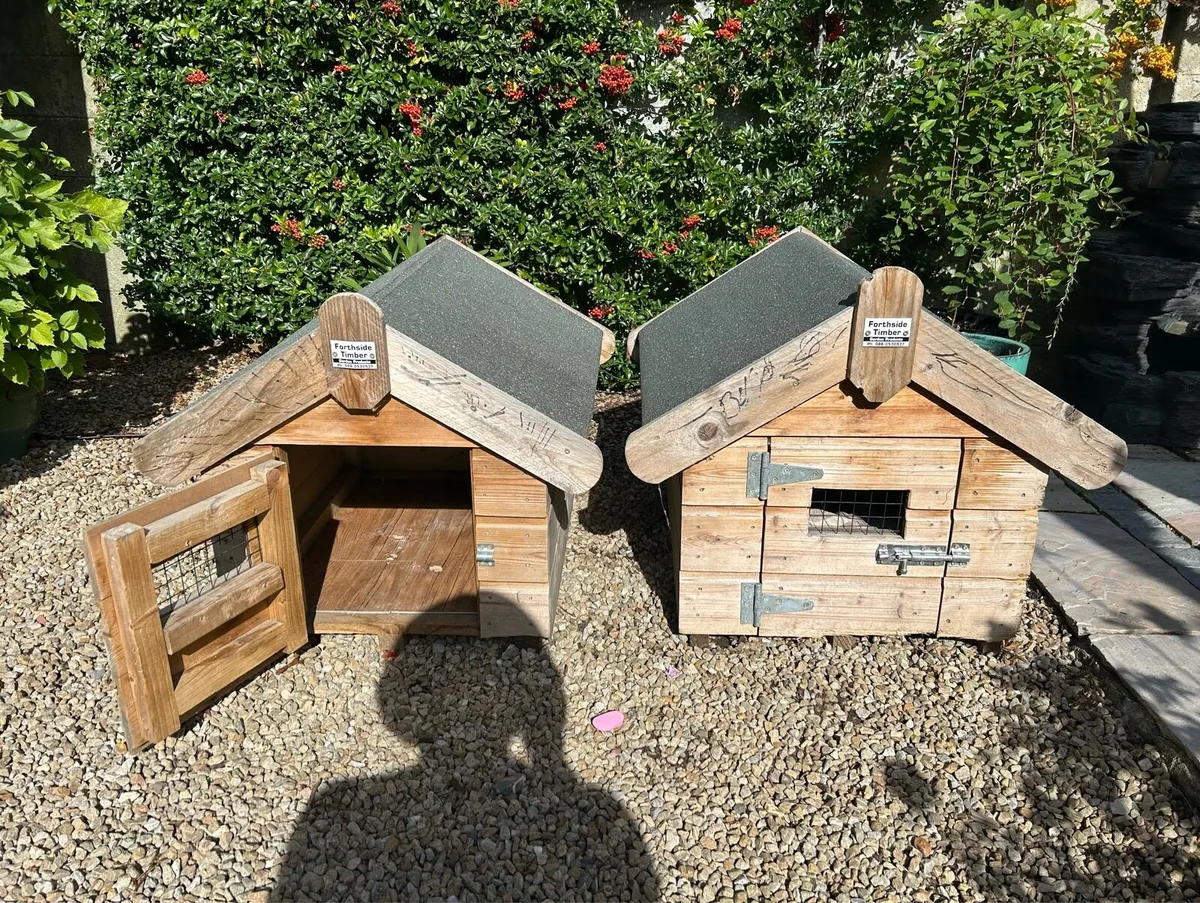 Dog Kennels x2 - Image 2