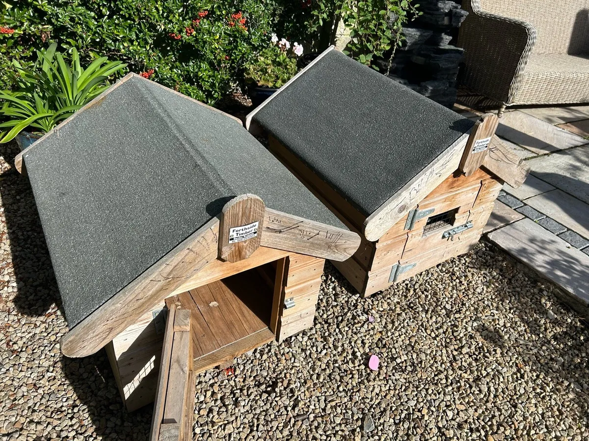 Dog Kennels x2 - Image 1