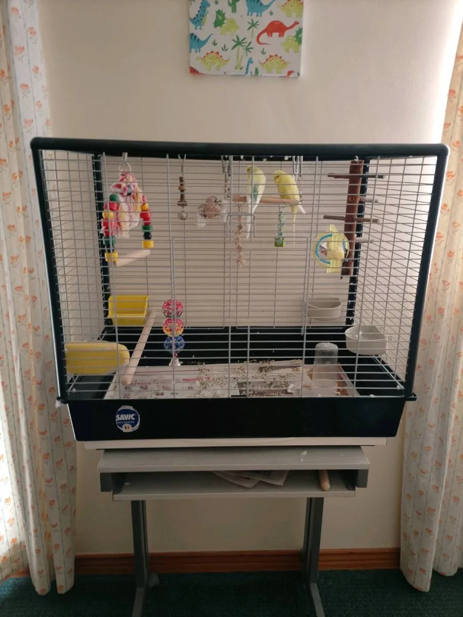 Bird Cage - Image 2