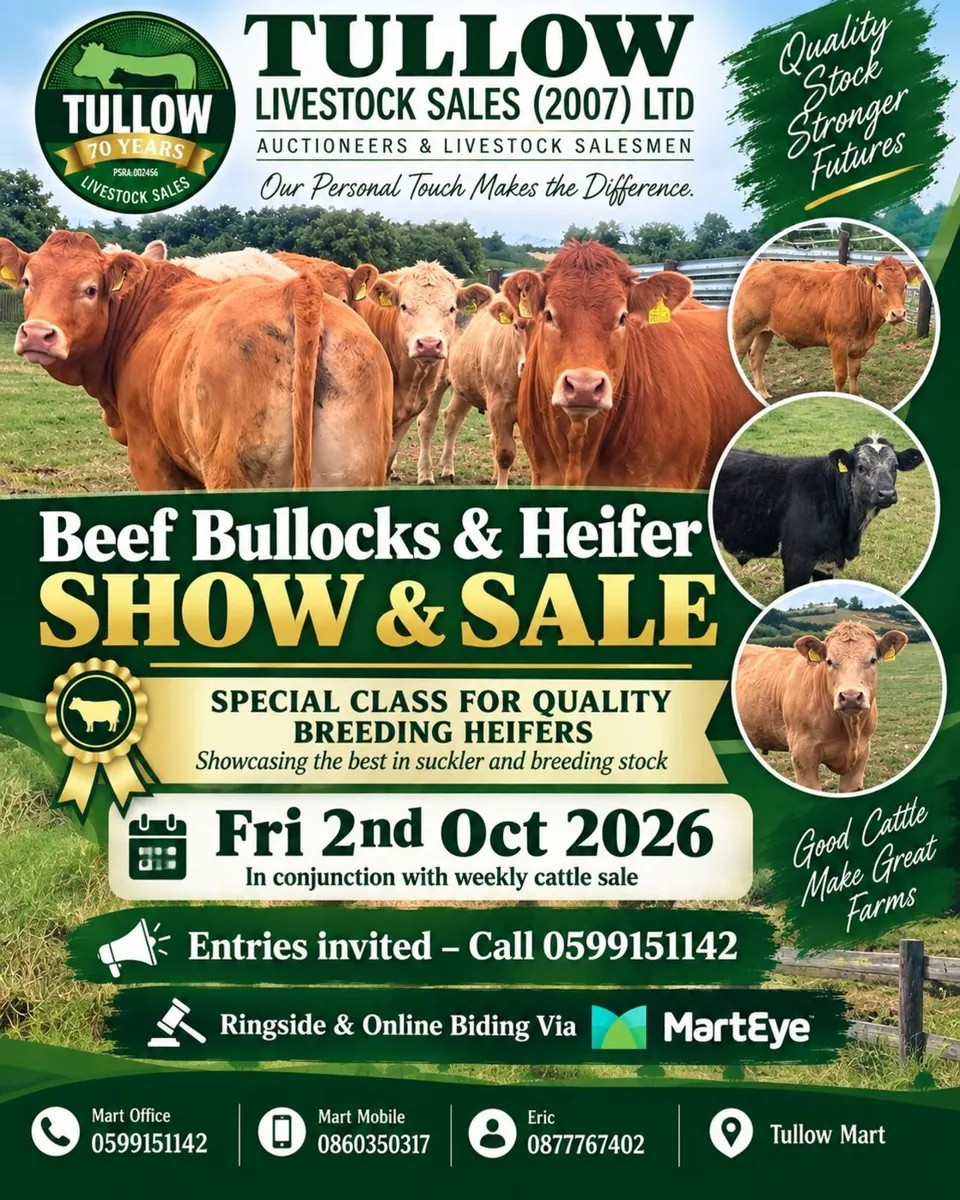 Beef Bullocks & Heifer Show & Sale - Tullow Mart
