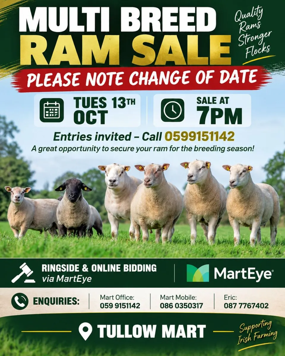 Muli Breed Ram Sale – Tues 13th Oct - Tullow Mart