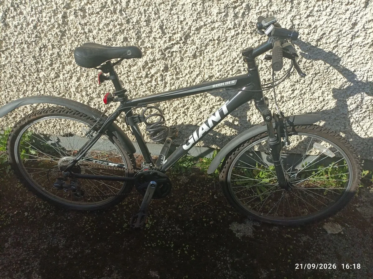 Bicycles x 2 - Image 1