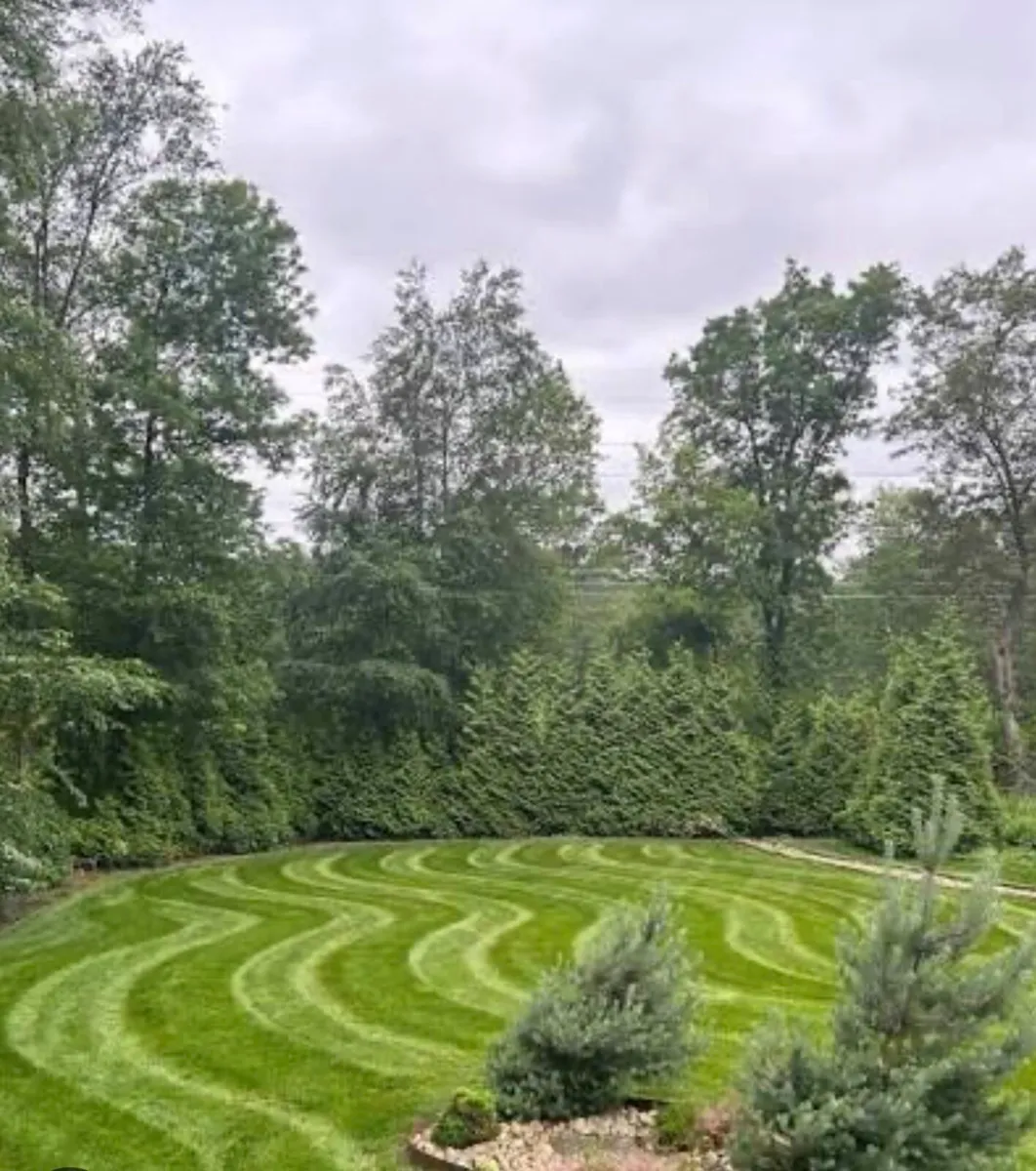 Hedge cutting and lawn care