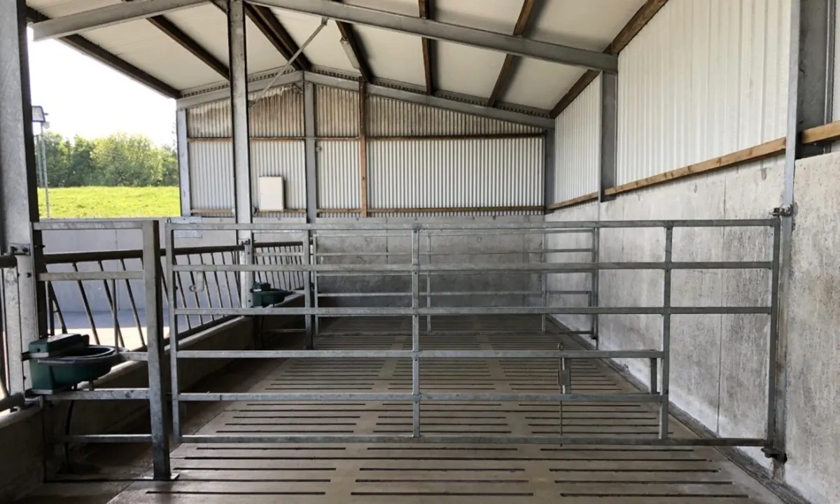 Cattle shed powerwashing