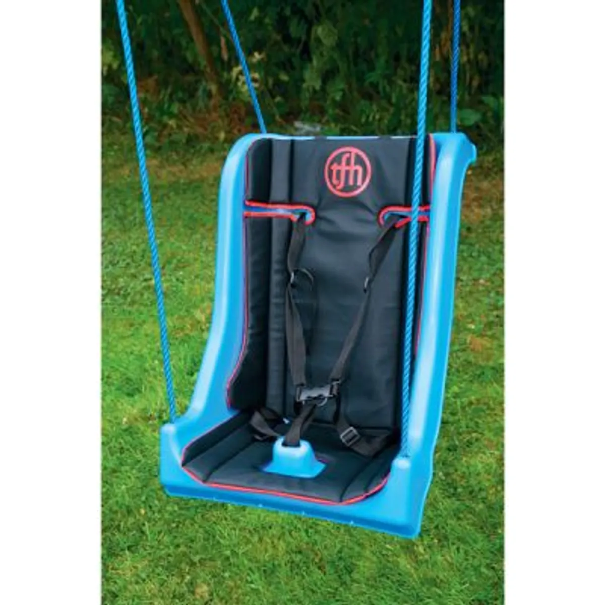 Special Needs Swing - Image 1