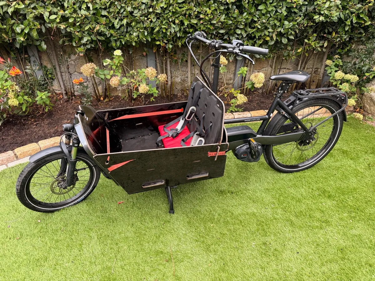 Riese and Muller Packster - Image 1