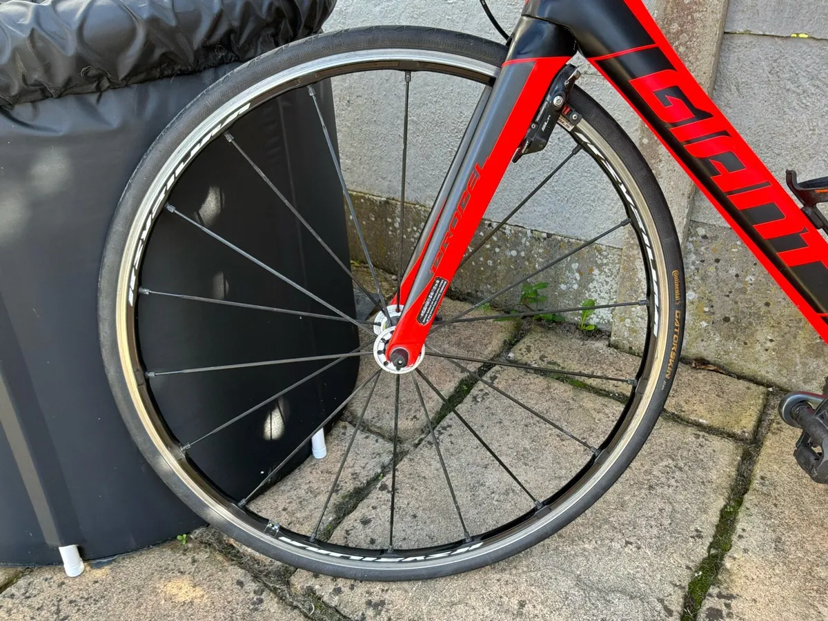 Bike - Image 4